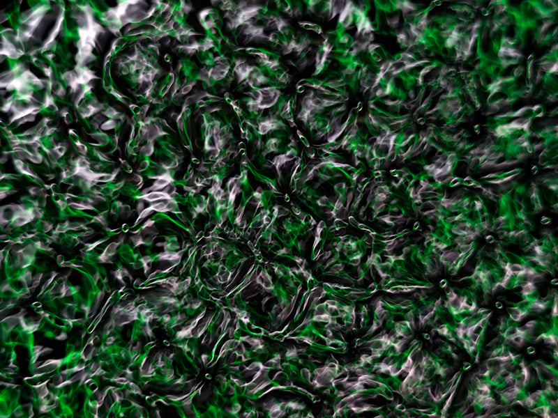 Underwater photograph water light science experiments pure physics Verdant Low Light tonality from Cymatic Water and L