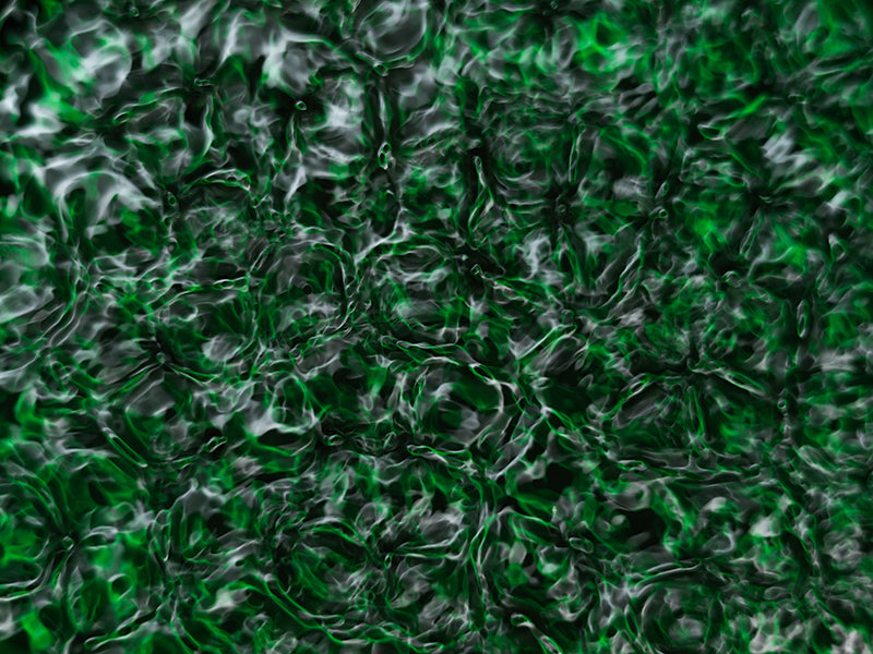 Underwater photograph water light science experiments pure physics Verdant Low Light tonality from Cymatic Water and L