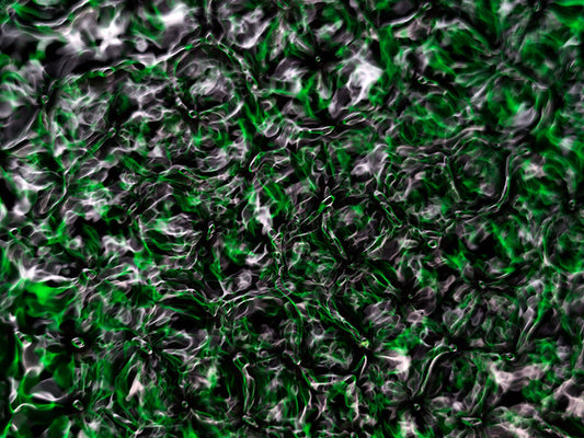 Underwater photograph water light science experiments pure physics Verdant Low Light tonality from Cymatic Water and L