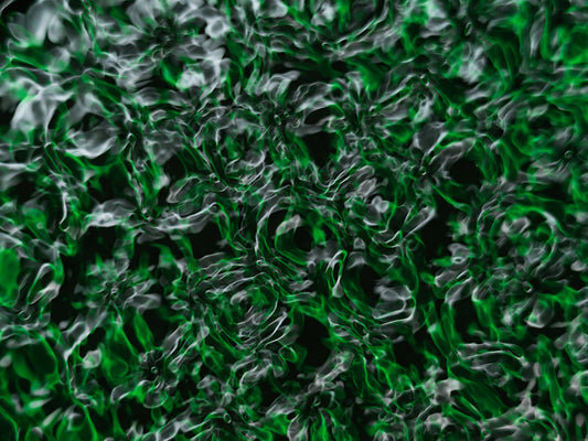 Underwater photograph water light science experiments pure physics Verdant Low Light tonality from Cymatic Water and L