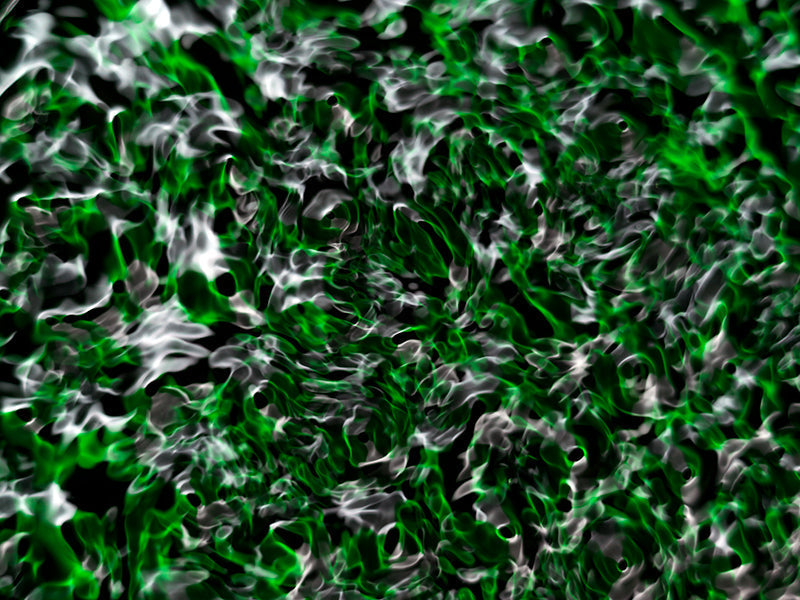 Underwater photograph water light science experiments pure physics Verdant Low Light tonality from Cymatic Water and L