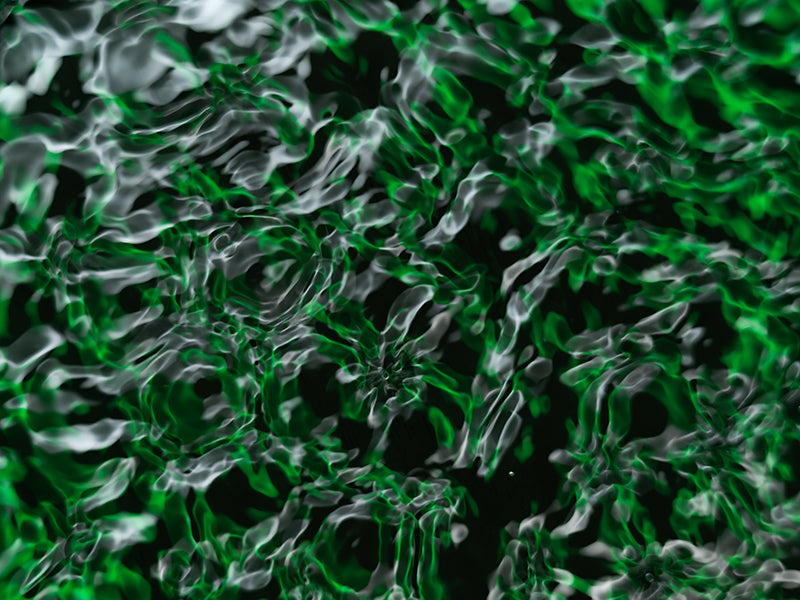 Underwater photograph water light science experiments pure physics Verdant Low Light tonality from Cymatic Water and L