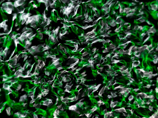 Underwater photograph water light science experiments pure physics Verdant Low Light tonality from Cymatic Water and L