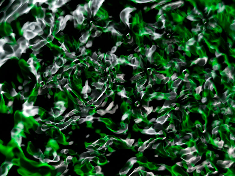 Underwater photograph water light science experiments pure physics Verdant Low Light tonality from Cymatic Water and L