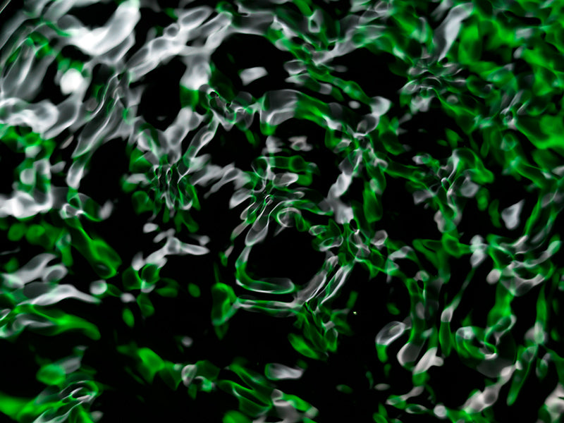 Underwater photograph water light science experiments pure physics Verdant Low Light tonality from Cymatic Water and L