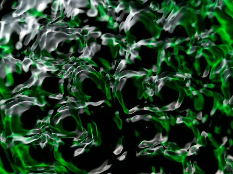 Underwater photograph water light science experiments pure physics Verdant Low Light tonality from Cymatic Water and L
