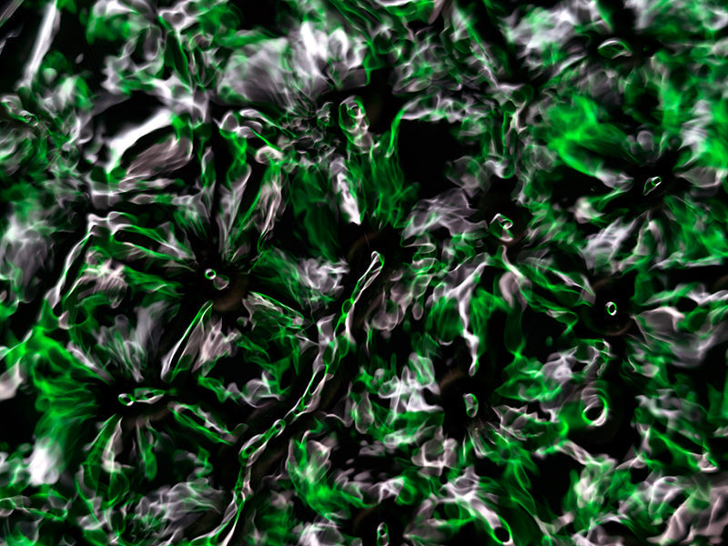 Underwater photograph water light science experiments pure physics Verdant Low Light tonality from Cymatic Water and L