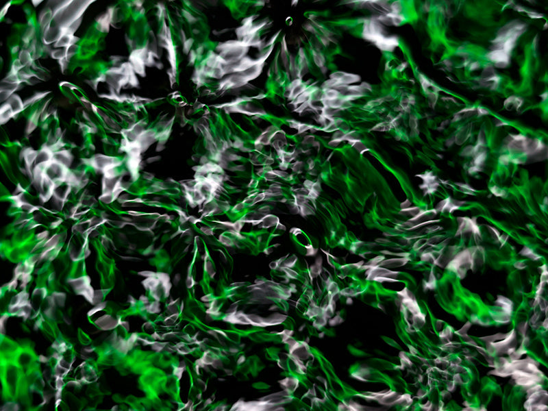 Underwater photograph water light science experiments pure physics Verdant Low Light tonality from Cymatic Water and L