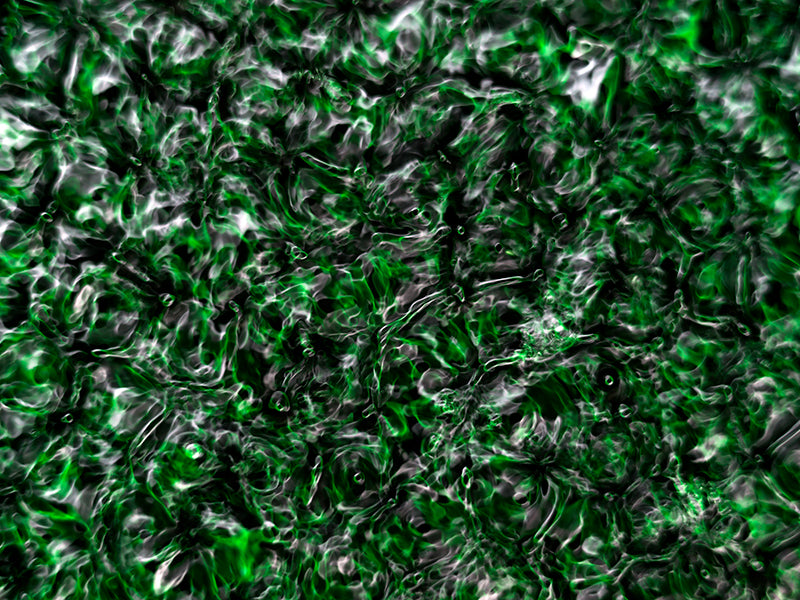 Underwater photograph water light science experiments pure physics Verdant Low Light tonality from Cymatic Water and L