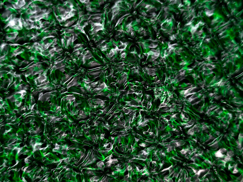 Underwater photograph water light science experiments pure physics Verdant Low Light tonality from Cymatic Water and L