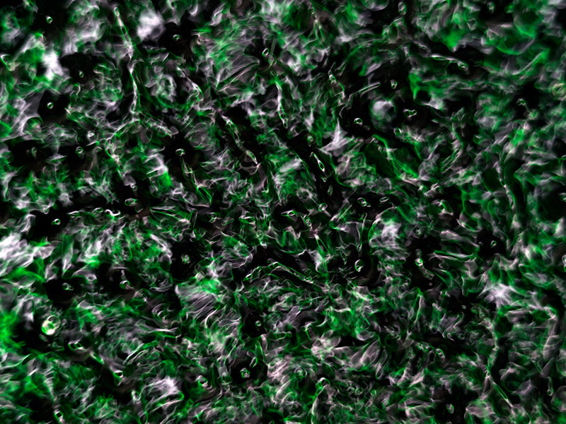 Underwater photograph water light science experiments pure physics Verdant Low Light tonality from Cymatic Water and L