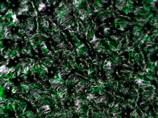 Underwater photograph water light science experiments pure physics Verdant Low Light tonality from Cymatic Water and L