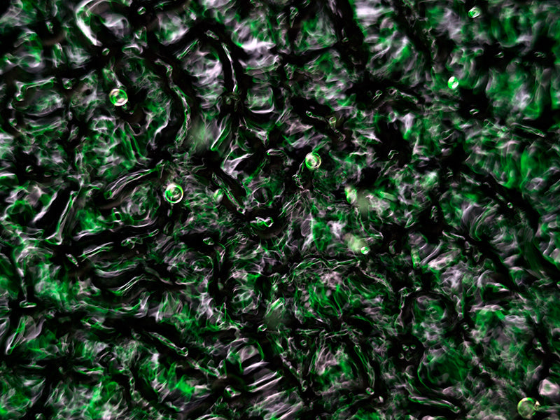 Underwater photograph water light science experiments pure physics Verdant Low Light tonality from Cymatic Water and L