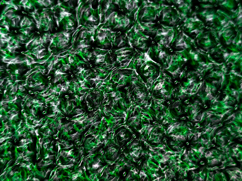 Underwater photograph water light science experiments pure physics Verdant Low Light tonality from Cymatic Water and L