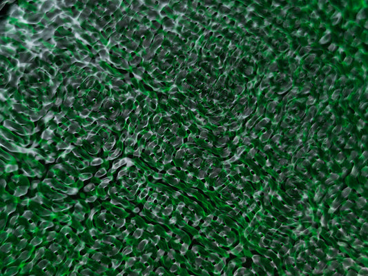 Underwater photograph water light science experiments pure physics Verdant Low Light tonality from Cymatic Water and L