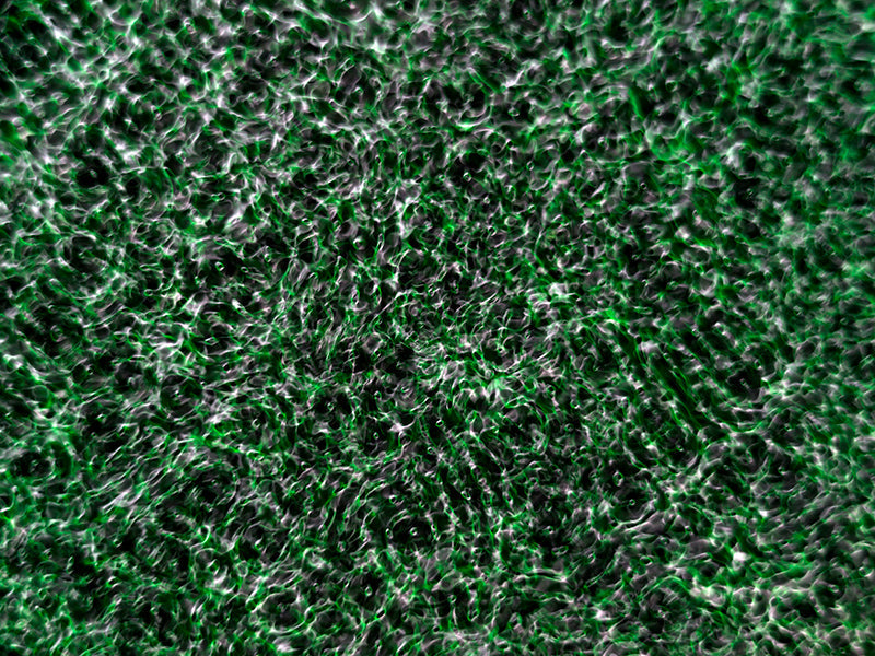 Underwater photograph water light science experiments pure physics Verdant Mid Tone tonality from Cymatic Water and Li