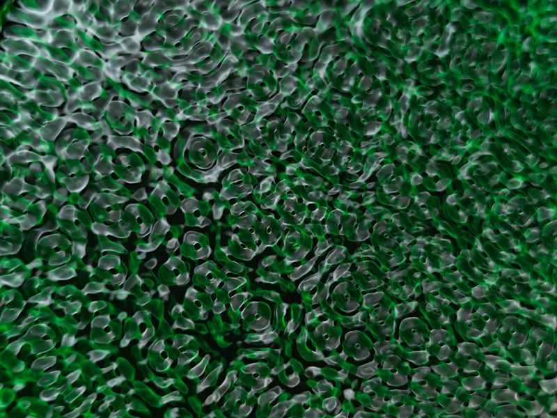 Underwater photograph water light science experiments pure physics Verdant Low Light tonality from Cymatic Water and L