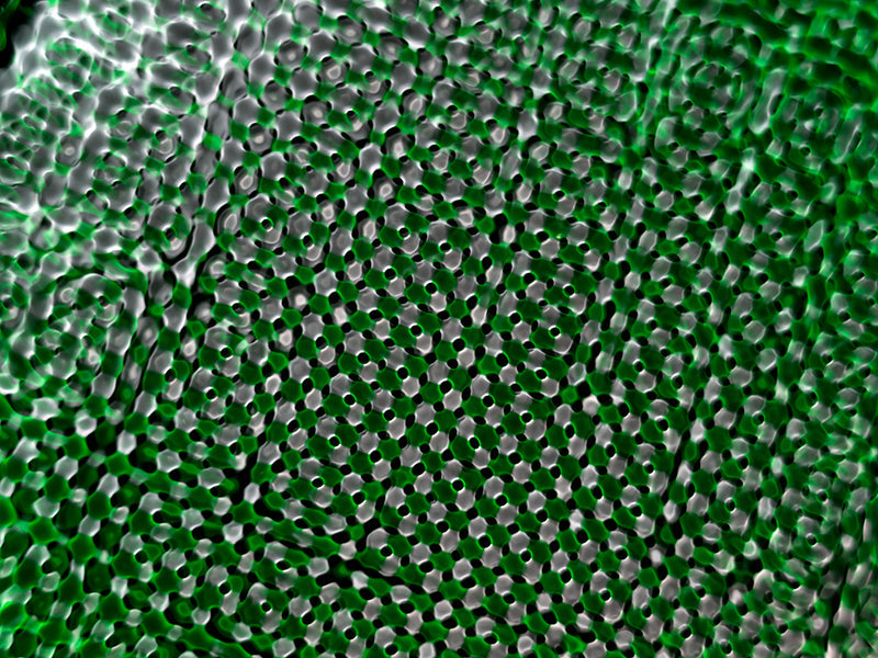 Underwater photograph water light science experiments pure physics Verdant Mid Tone tonality from Cymatic Water and Li