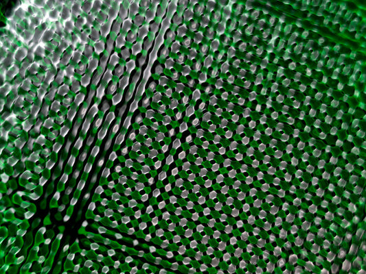 Underwater photograph water light science experiments pure physics Verdant Mid Tone tonality from Cymatic Water and Li