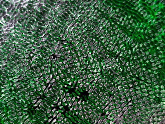 Underwater photograph water light science experiments pure physics Verdant Mid Tone tonality from Cymatic Water and Li