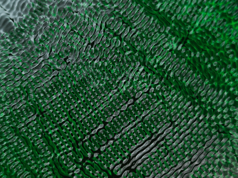 Underwater photograph water light science experiments pure physics Verdant Low Light tonality from Cymatic Water and L