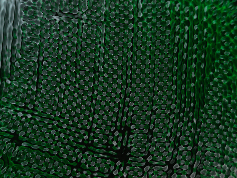 Underwater photograph water light science experiments pure physics Verdant Low Light tonality from Cymatic Water and L