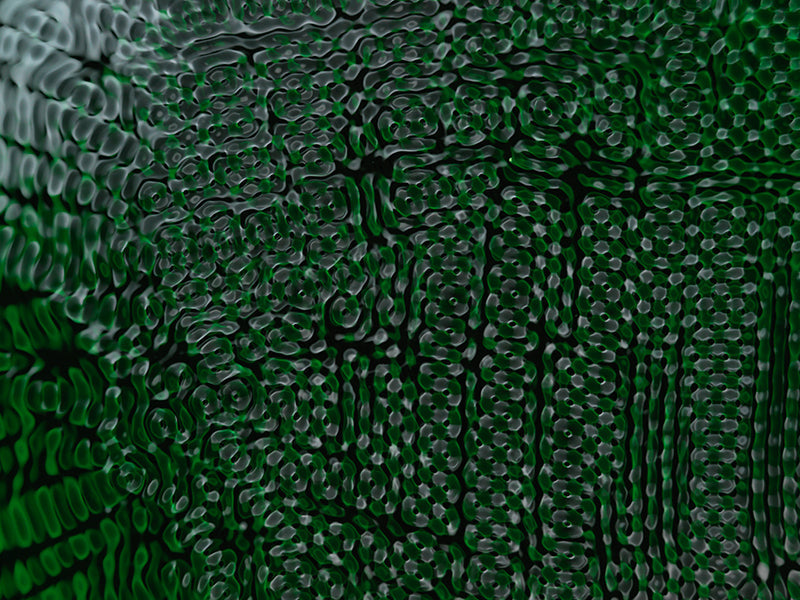 Underwater photograph water light science experiments pure physics Verdant Low Light tonality from Cymatic Water and L