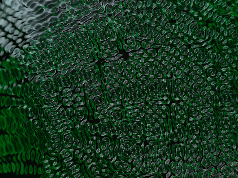 Underwater photograph water light science experiments pure physics Verdant Low Light tonality from Cymatic Water and L