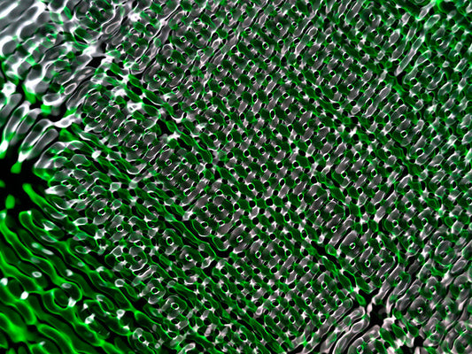 Underwater photograph water light science experiments pure physics Verdant Mid Tone tonality from Cymatic Water and Li