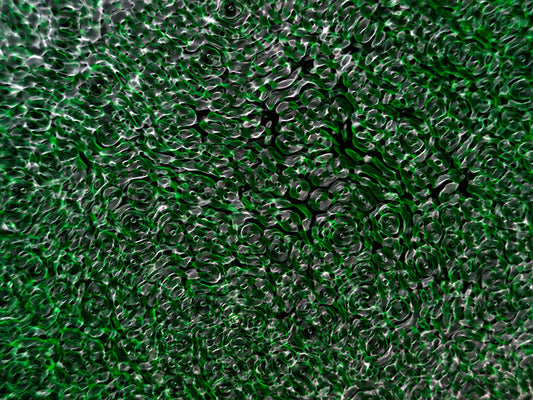 Underwater photograph water light science experiments pure physics Verdant Low Light tonality from Cymatic Water and L