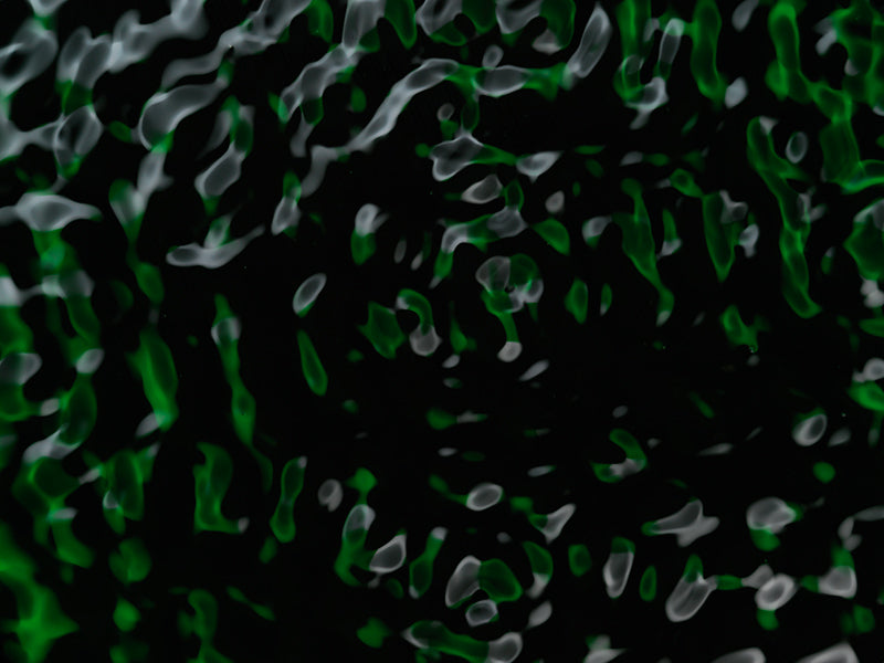 Underwater photograph water light science experiments pure physics Verdant Low Light tonality from Cymatic Water and L