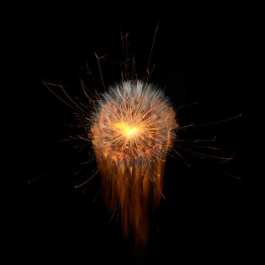 Underwater photograph exploding flower series sparks energy shot Warm Low Light tonality from the Fusion series