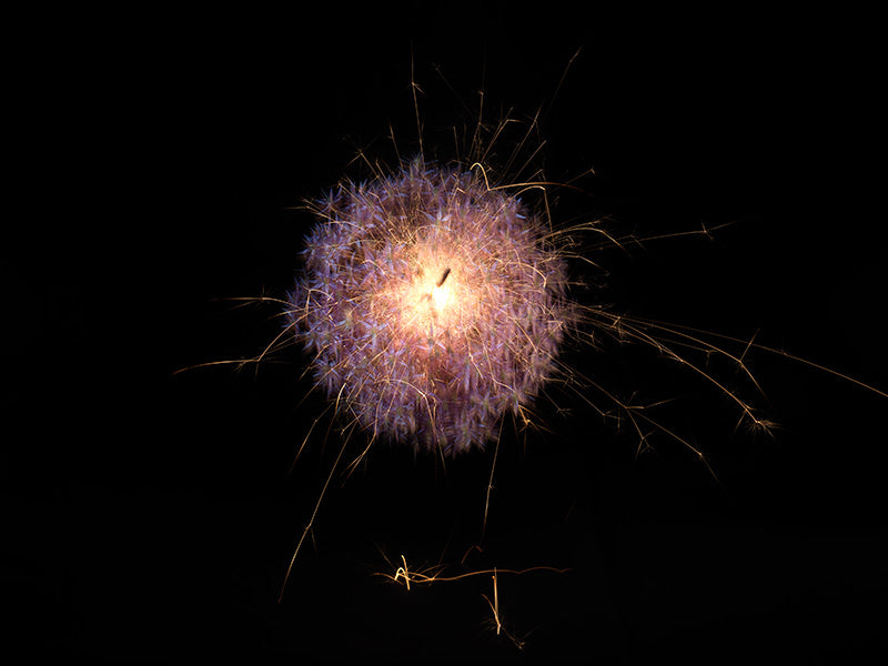 Underwater photograph exploding flower series sparks energy shot Warm Low Light tonality from the Fusion series