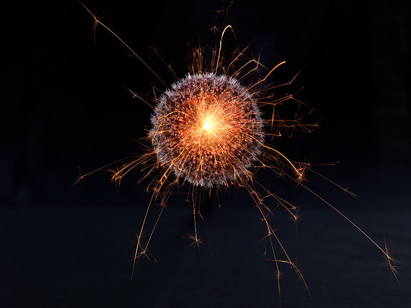 Underwater photograph exploding flower series sparks energy shot Warm Low Light tonality from the Fusion series