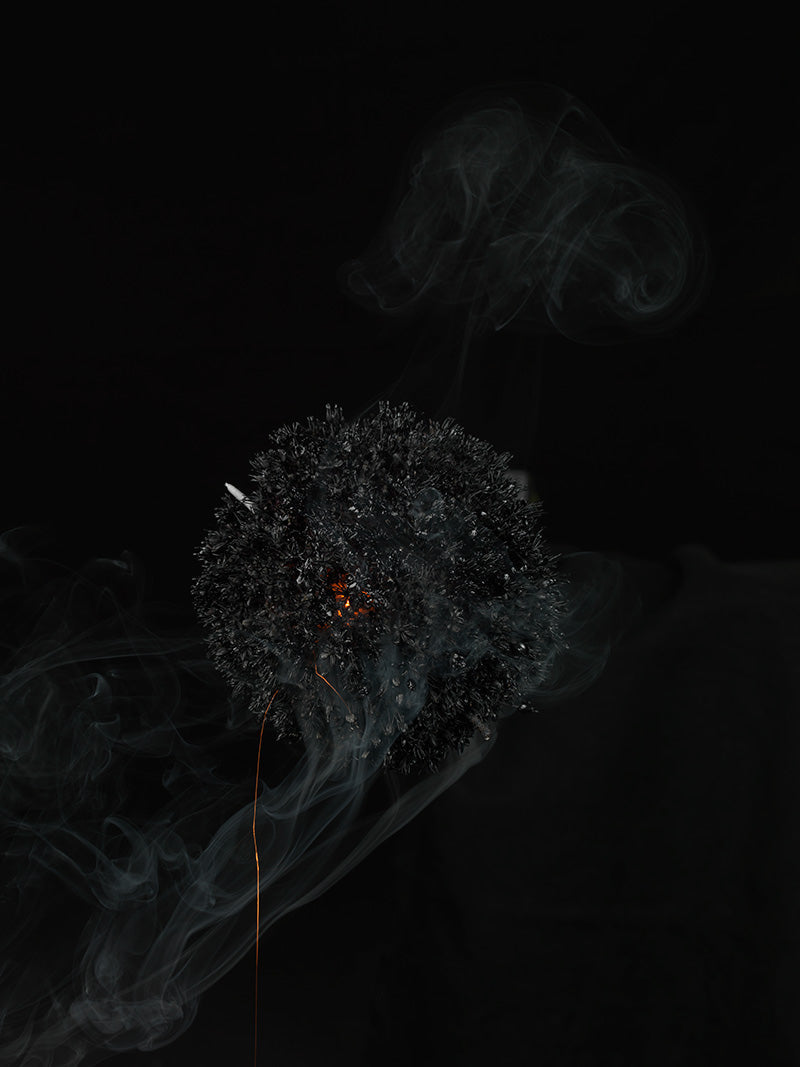 Underwater photograph exploding flower series sparks energy shot Verdant Low Light tonality from the Fusion series