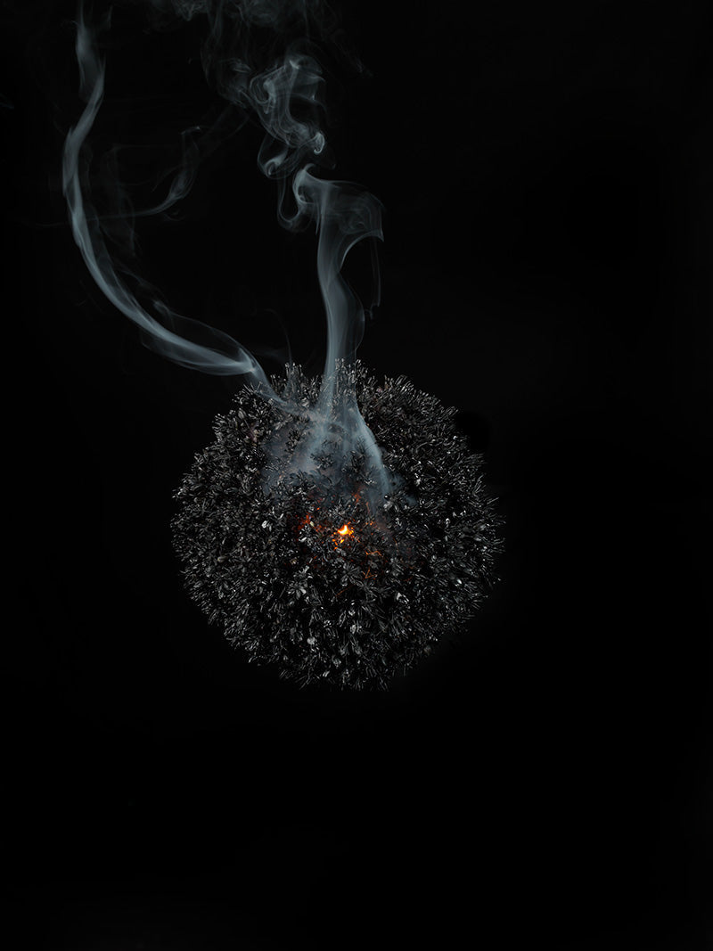 Underwater photograph exploding flower series sparks energy shot Cool Low Light tonality from the Fusion series