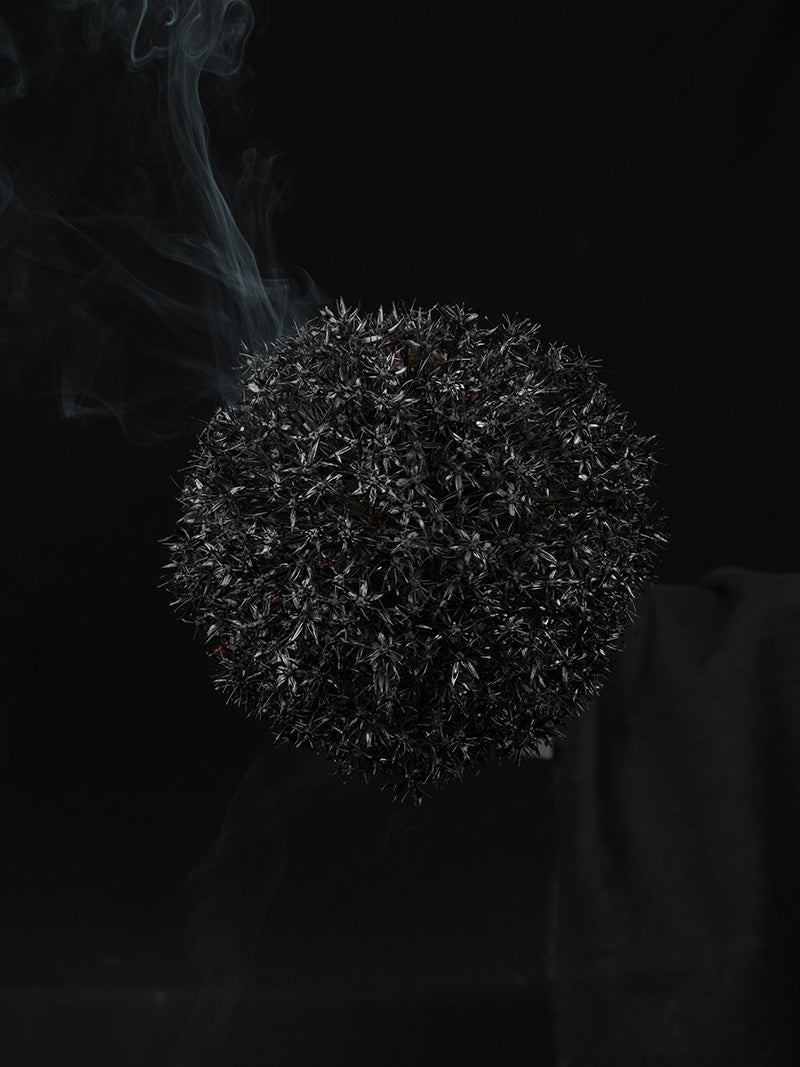 Underwater photograph exploding flower series sparks energy shot Cool Low Light tonality from the Fusion series
