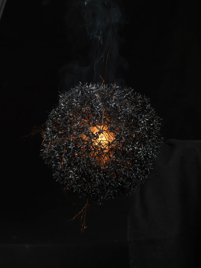 Underwater photograph exploding flower series sparks energy shot Warm Low Light tonality from the Fusion series