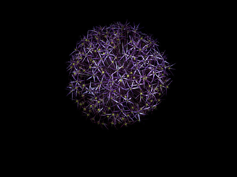 Underwater photograph exploding flower series sparks energy shot Cool Low Light tonality from the Fusion series
