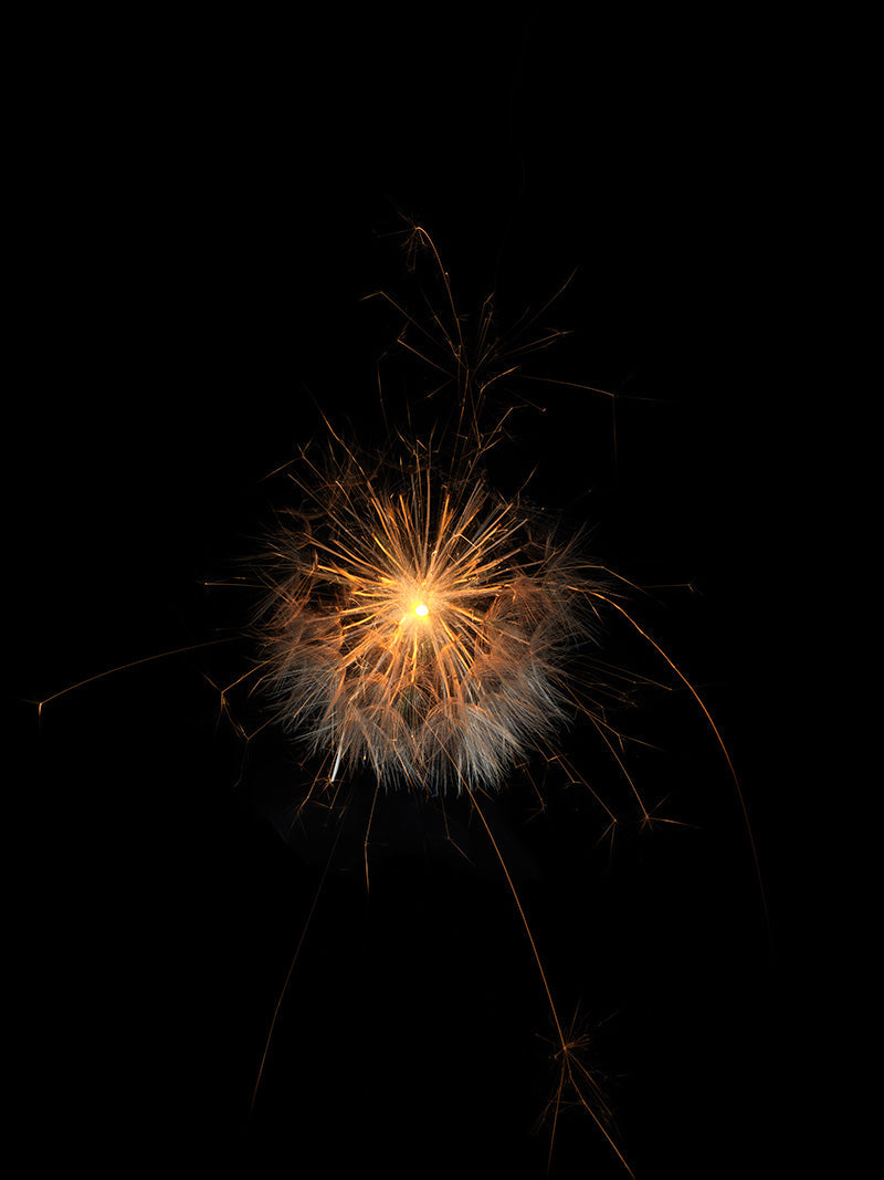 Underwater photograph exploding flower series sparks energy shot Warm Low Light tonality from the Fusion series