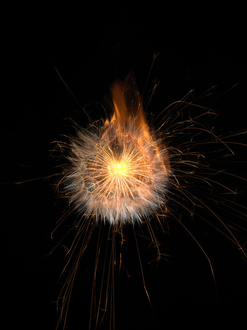 Underwater photograph exploding flower series sparks energy shot Warm Low Light tonality from the Fusion series