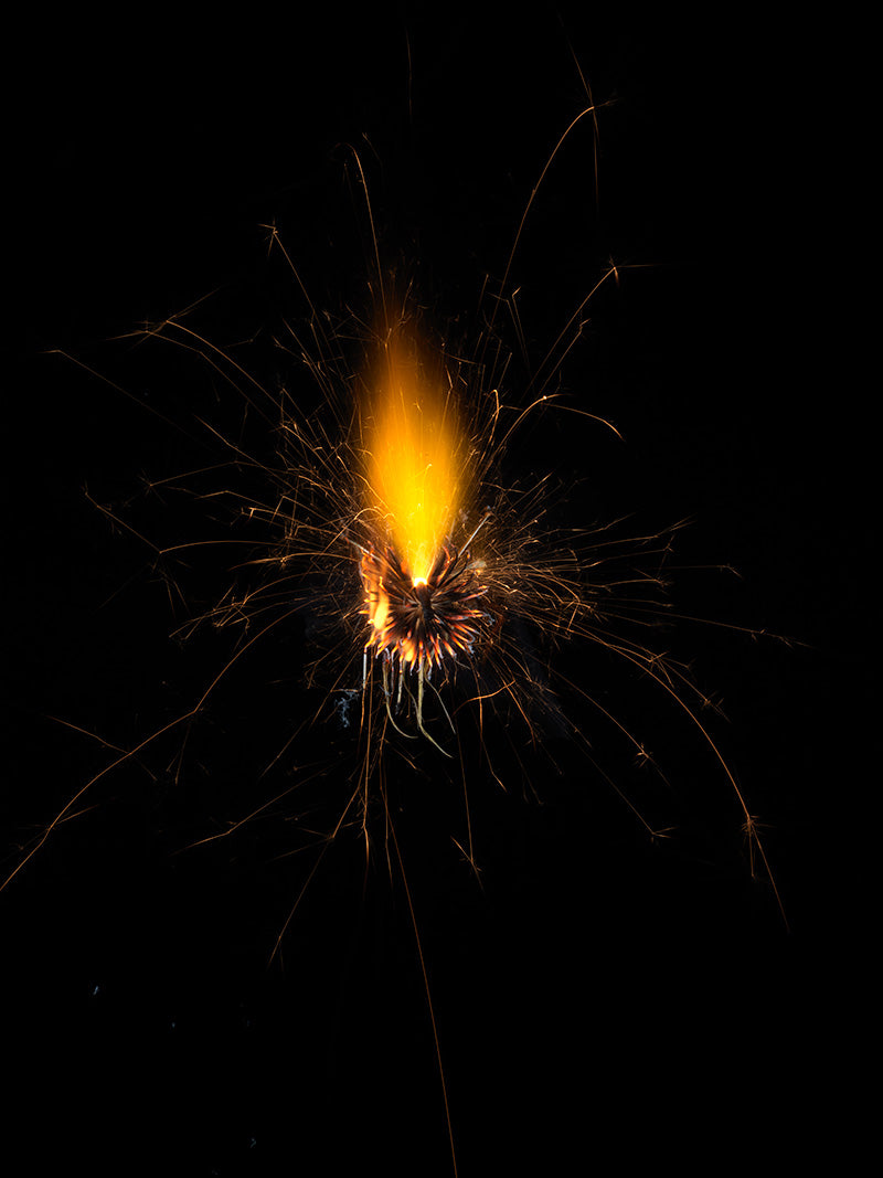 Underwater photograph exploding flower series sparks energy shot Warm Low Light tonality from the Fusion series