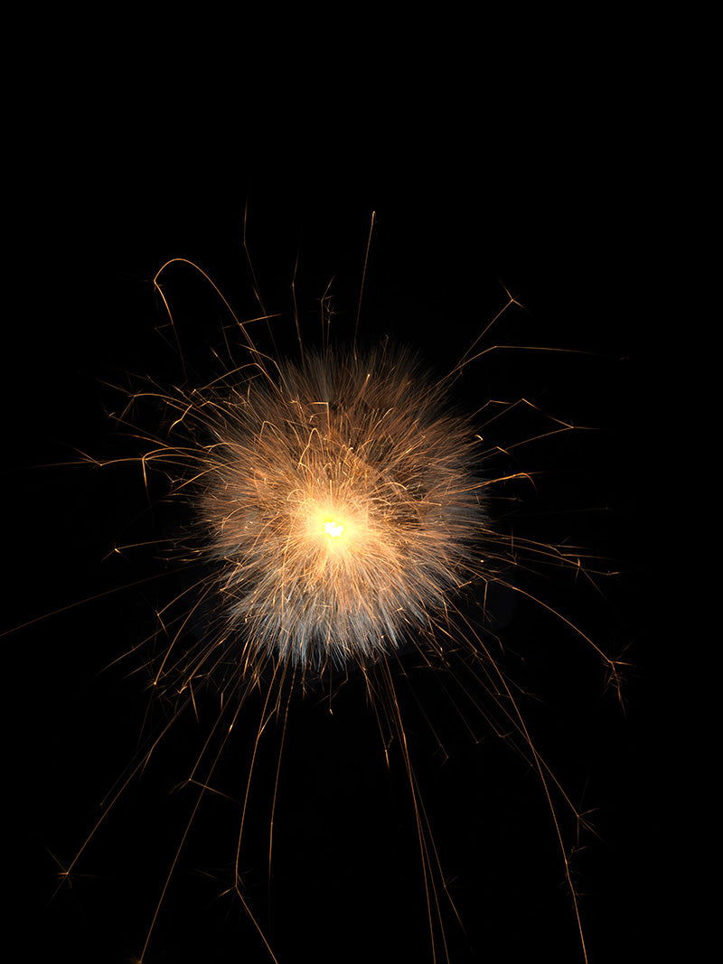 Underwater photograph exploding flower series sparks energy shot Warm Low Light tonality from the Fusion series