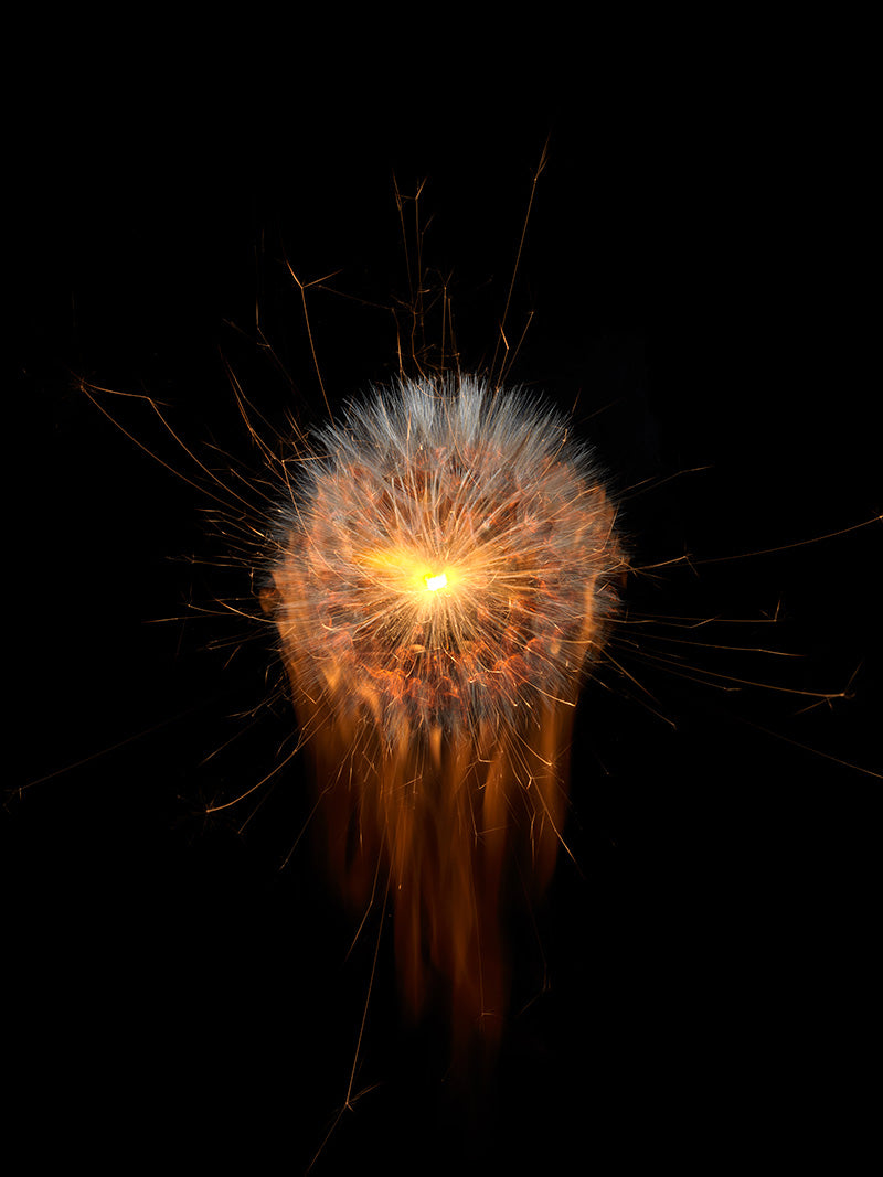 Underwater photograph exploding flower series sparks energy shot Warm Low Light tonality from the Fusion series