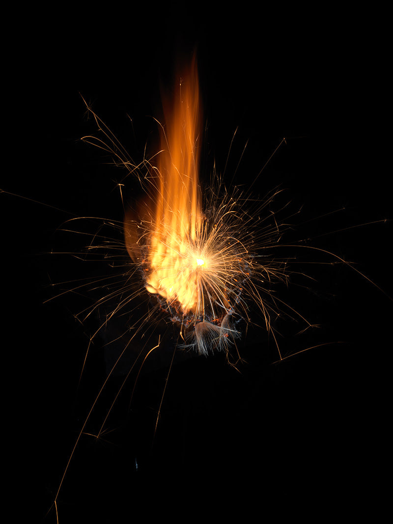 Underwater photograph exploding flower series sparks energy shot Warm Low Light tonality from the Fusion series
