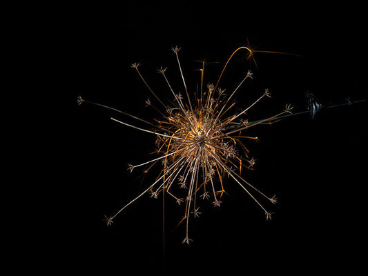 Underwater photograph exploding flower series sparks energy shot Warm Low Light tonality from the Fusion series