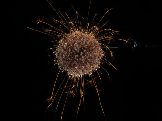 Underwater photograph exploding flower series sparks energy shot Warm Low Light tonality from the Fusion series