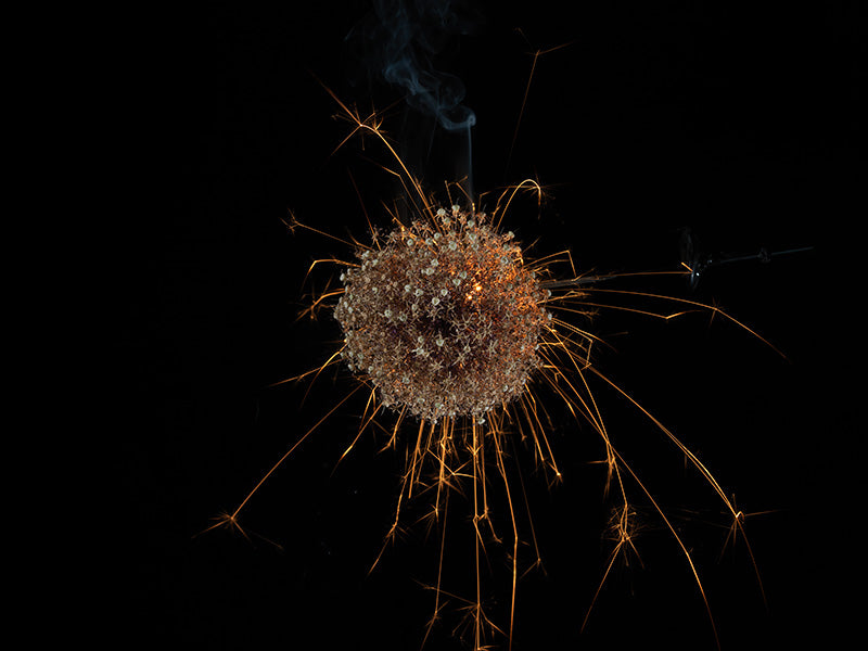 Underwater photograph exploding flower series sparks energy shot Warm Low Light tonality from the Fusion series
