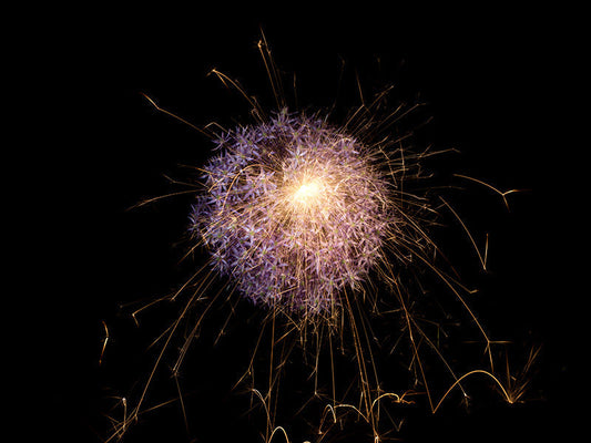 Underwater photograph exploding flower series sparks energy shot Warm Low Light tonality from the Fusion series