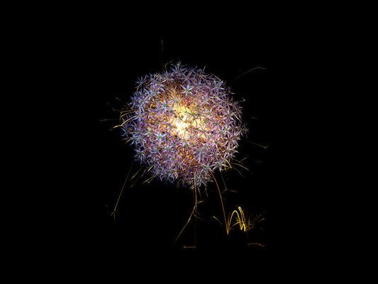 Underwater photograph exploding flower series sparks energy shot Warm Low Light tonality from the Fusion series